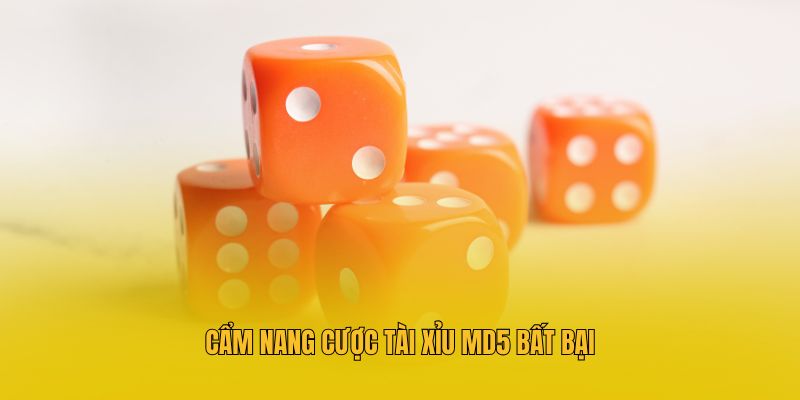 Cẩm nang cược tài xỉu MD5 bất bại